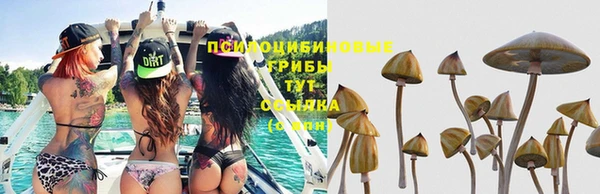 каннабис Медногорск